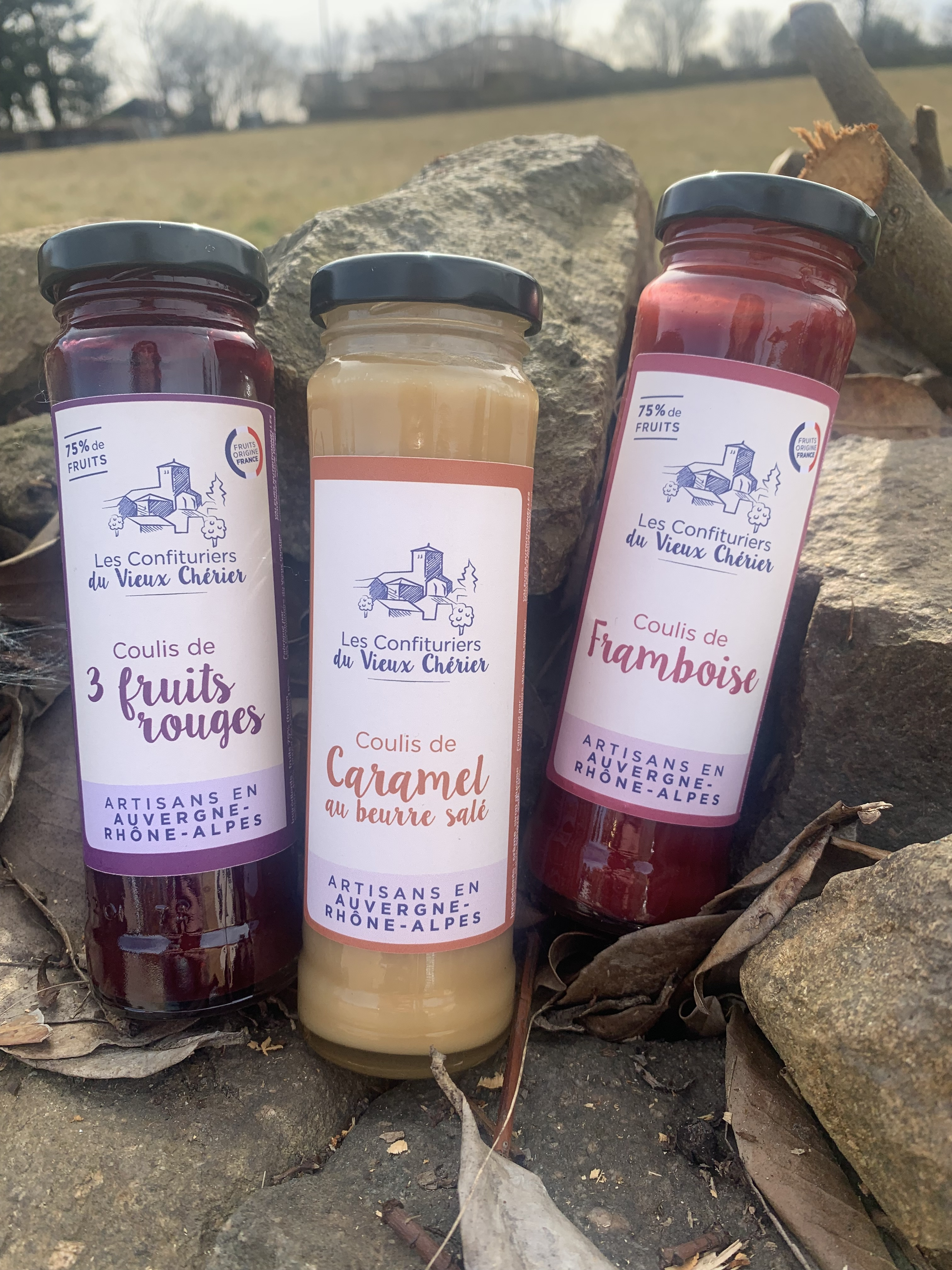 Voici notre nouvelle gamme : LES COULIS !